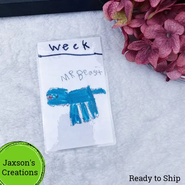 Jaxson's Creation Week Mr Beast